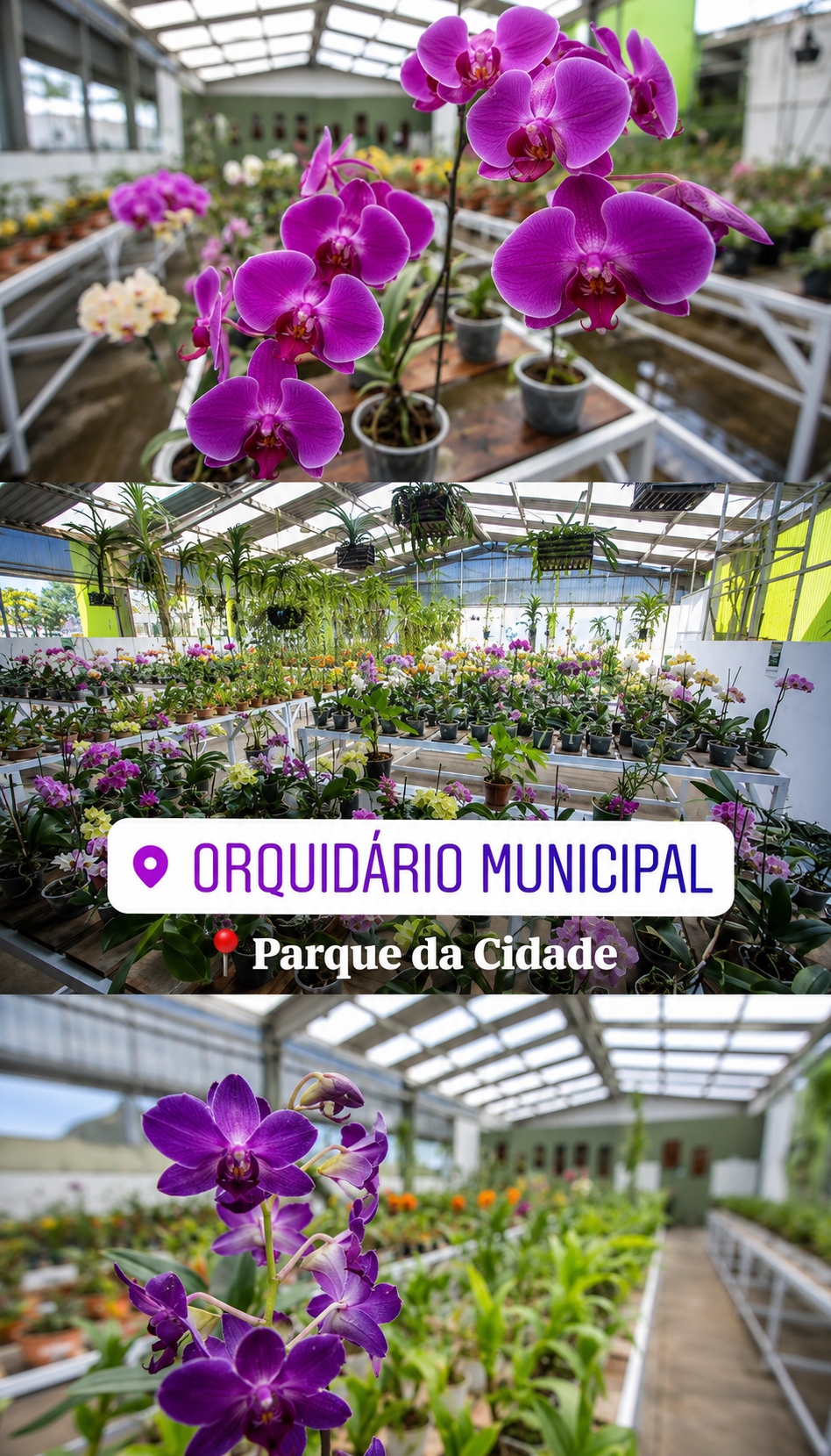 Imagem estratégica 4 de Praia Grande, litoral de São Paulo