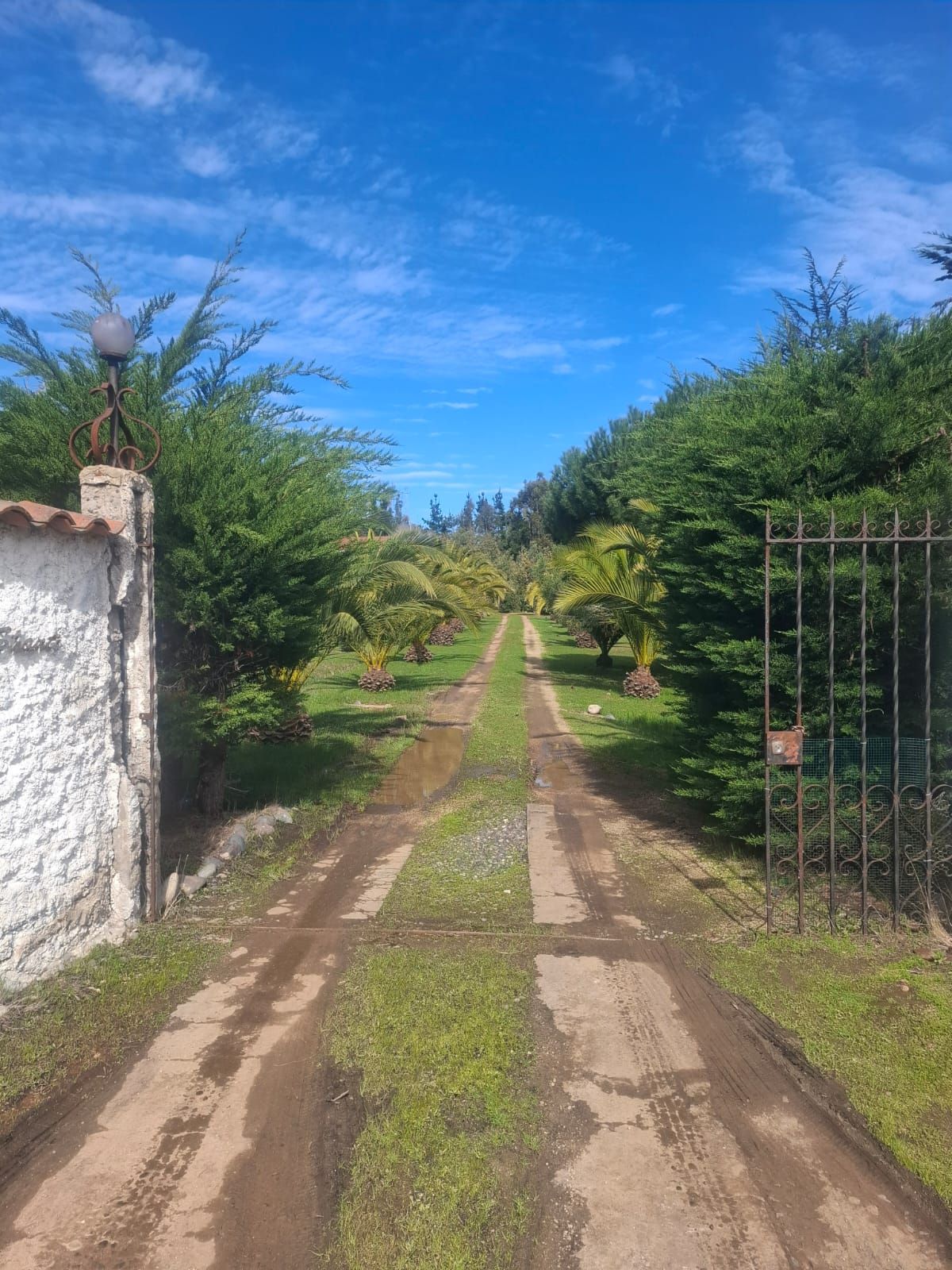 ¡Espectacular Parcela en Condominio Alcázar de Torres, Algarrobo!
