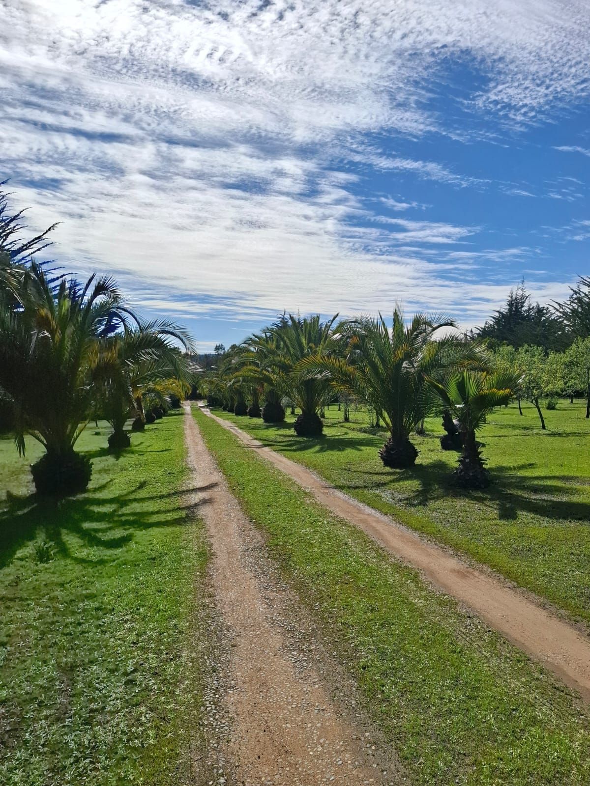 ¡Espectacular Parcela en Condominio Alcázar de Torres, Algarrobo!