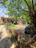 Terreno Av. Trinidad Oriente 421